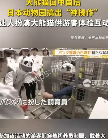 日本人扮大熊猫